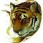 sweta